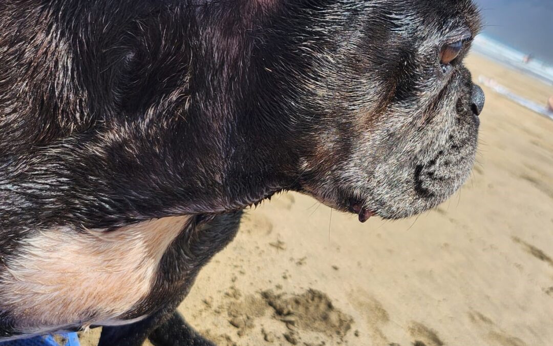 WhatsApp Image 2023-11-24 at 13.53.04