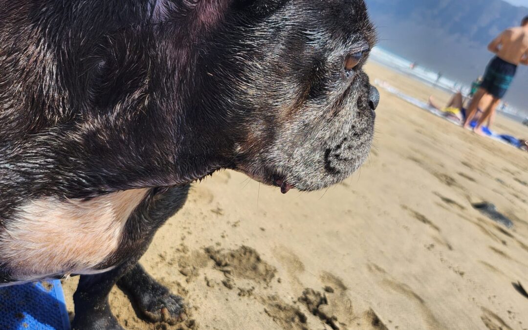 WhatsApp Image 2023-11-24 at 13.53.04